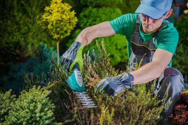 landscaping services Haring